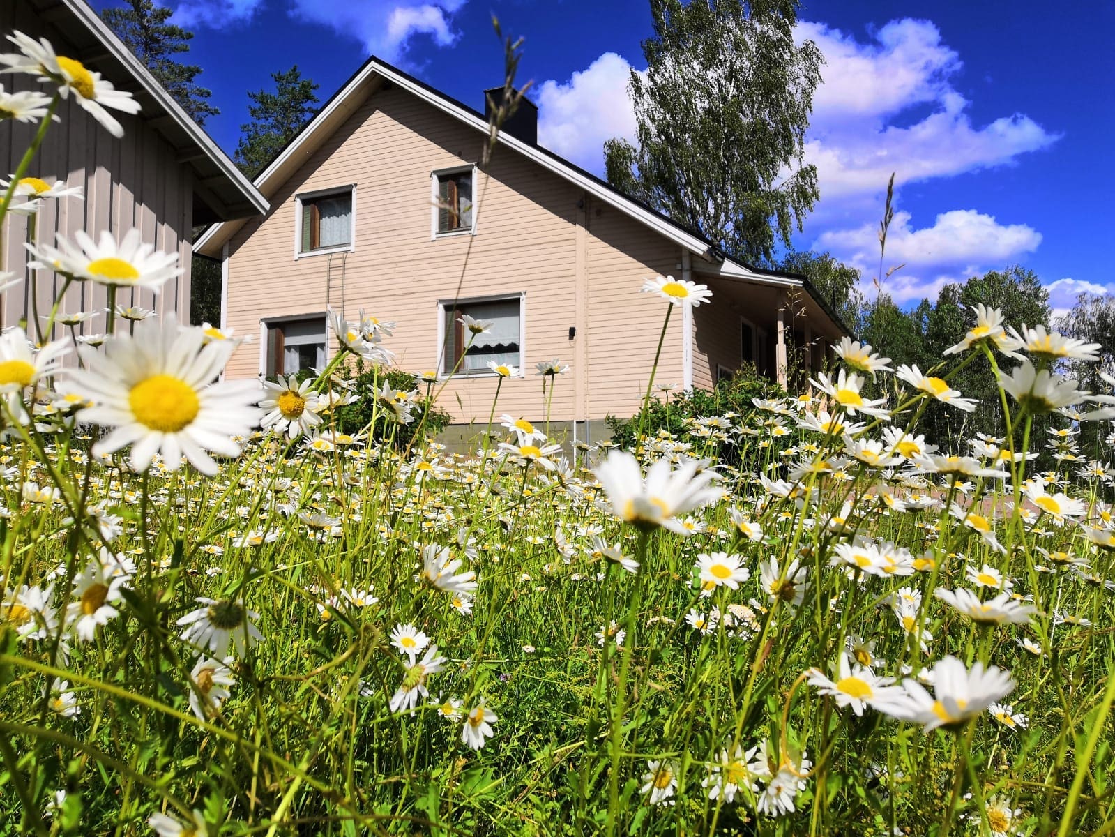 Featured image for “Hietoinrannassa juhlittiin 50-vuotista taivalta!”